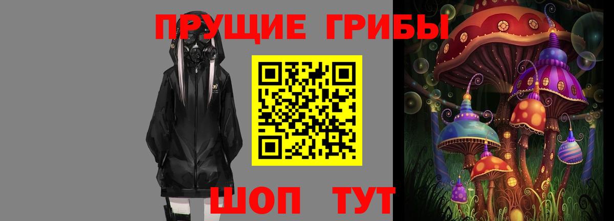 Новокубанск  Галлюциногенные грибы Cubensis  Вход с VPN 